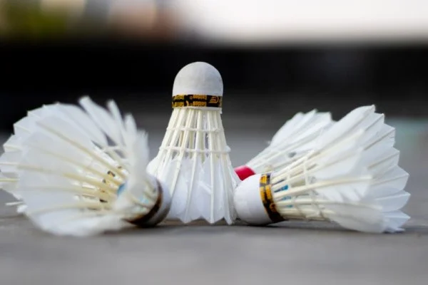 badminton shuttlecock close up